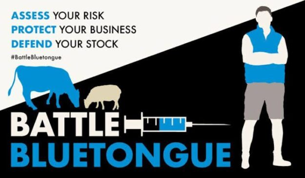 Bluetongue Bluetongue BTV-3 national control plan