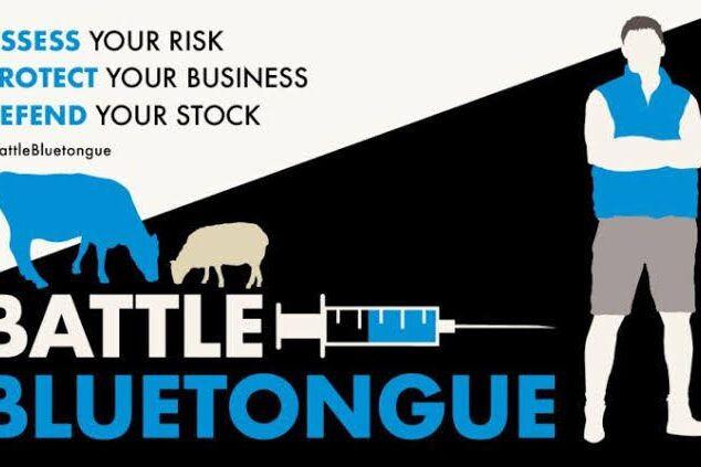 Bluetongue BTV-3 national control plan