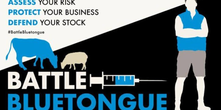 Bluetongue BTV-3 national control plan