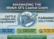 Welsh SFS capital grant cattle handling