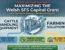 Welsh SFS capital grant cattle handling