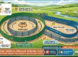 Bugle Yards & Circular Forcing Tub Design for Sheep