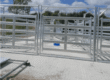 Custom Cattle Handling System & Crush Installs: Project Showcase