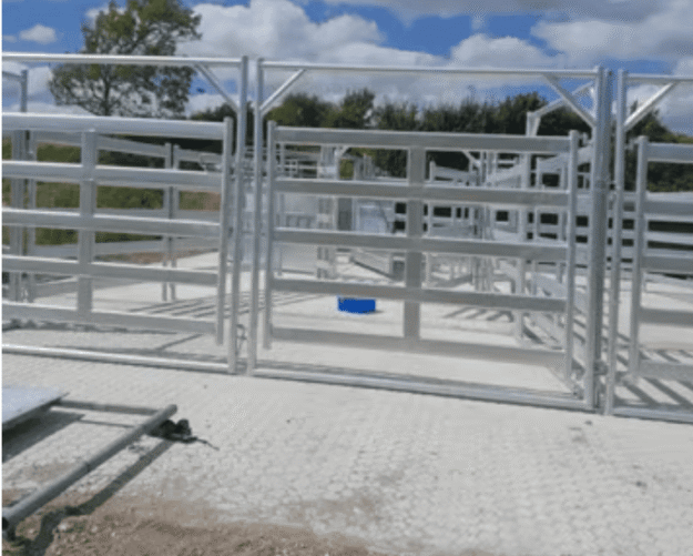 cattle system installs Custom Cattle Handling System & Crush Installs: Project Showcase