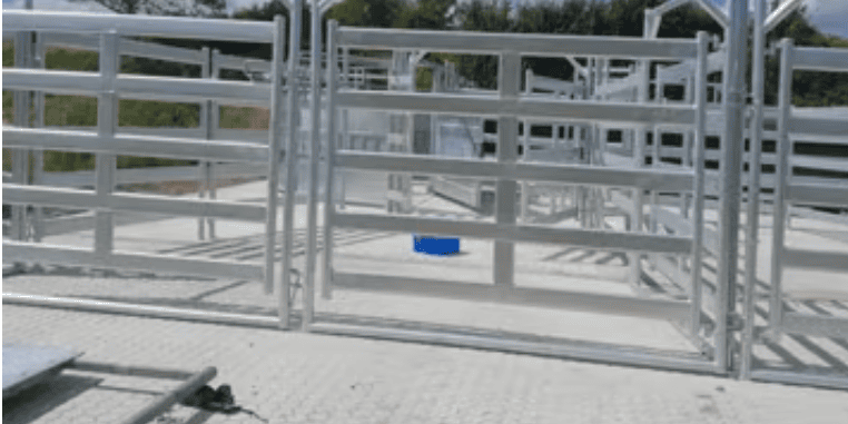 Custom Cattle Handling System & Crush Installs: Project Showcase