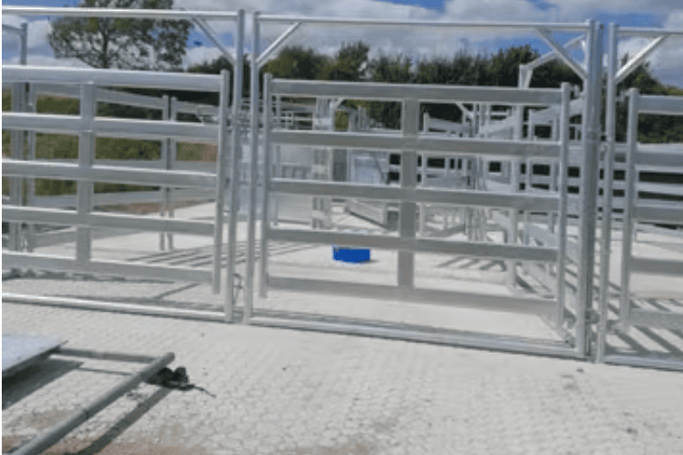 Custom Cattle Handling System & Crush Installs: Project Showcase
